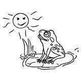 Frog Coloring Pages Sun Basking Delightful Tree Baby Ones Little sketch template