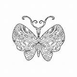 Elephant Head Butterfly Zentangle Stock Coloring Drawn Hand Book Style Depositphotos Illustration sketch template