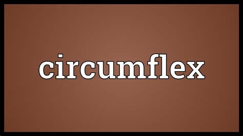 circumflex meaning youtube