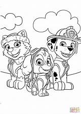 Coloring Pages Patrol Paw Everest Zuma Marshall Printable Getcolorings Skye sketch template