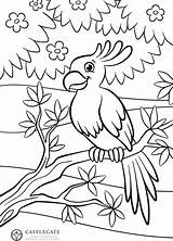 Coloring Parrot sketch template