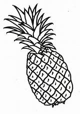 Pineapple Clipart Drawing Clip Cliparts Outline Vector Clipartmag Getdrawings sketch template