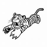 Tiger Coloring Books Pages sketch template