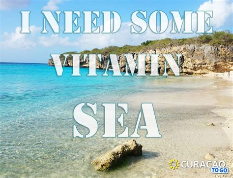 vitamin sea  summer quote curacao quote summer summer quotes vitamin sea