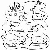Pond Coloring Pages Animals Ducks Printable Drawing Lake Color Duck Clipart Life Kids Fish Ponds Dot Puzzle sketch template