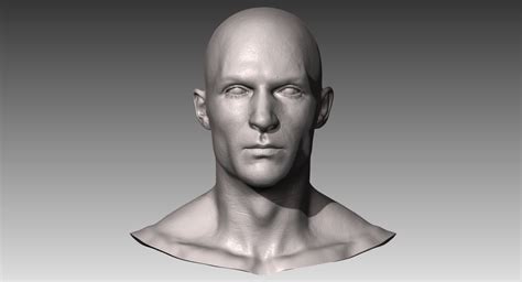 3d Realistic White Male Head