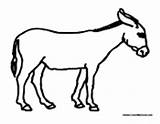 Mule Coloring Pages Adult Colormegood Animals sketch template