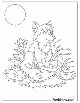Foxes Verbnow sketch template