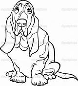 Hound Basset Illustration Kolorowanka Ausmalbilder Hunden Bassett Dogs Purebred Effortfulg Dessin Maluchy Getdrawings Drukuj sketch template