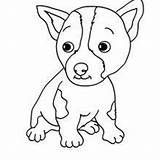 Dog Coloring Maltese Tattoo Template sketch template