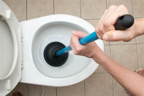 simple steps  unclog  toilet quickly  easily ggr home inspections