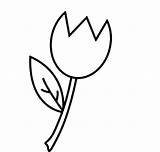 Flower Single Coloring Pages Printable Large Tulips Color Flowers Stem Getcolorings Tulip Print sketch template