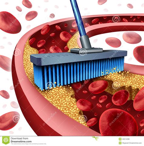 cleaning arteries stock illustration image