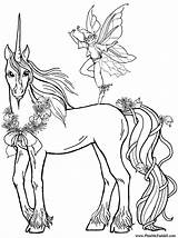 Coloring Unicorn Pages Unicorns Color Print Pegasus Colouring Printable Kids Sheet Book Drawing sketch template