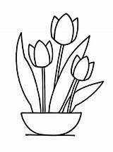 Tulpen Ausmalen Blumen Ausdrucken Ausmalbild Malvorlagen Kostenlos Kindern sketch template