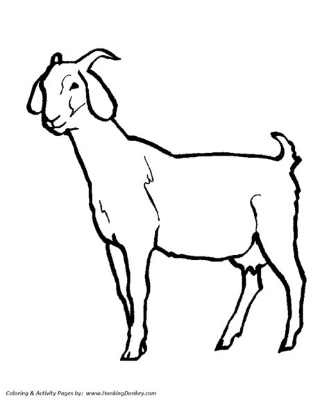 female goat coloring pages goat coloring page  kids activity sheet