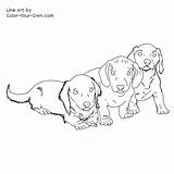 Dachshund Getcolorings sketch template