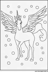 Malvorlagen Einhorn Pegasus Ausdrucken Malvorlage Malen Pferd Feen Erwachsene Drucken Pferde Elfen Auf Unicornios Pegaso Flügel Malvorlagengratis Besuchen Steine Lister sketch template