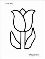Tulip Coloring Trace Spring Cut Color Pages Flower Templates Colouring Crafts Student Abcteach sketch template