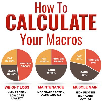 macro calculator find  macro ratio  meal prep  fleek