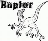 Velociraptor Coloring Pages Raptor Dinosaur Kids Print Colouring Printable Dinosaurs Sheets Popular Tsgos Animal sketch template