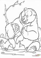 Coloring Pages Mom Bear Koda Drawing Printable sketch template