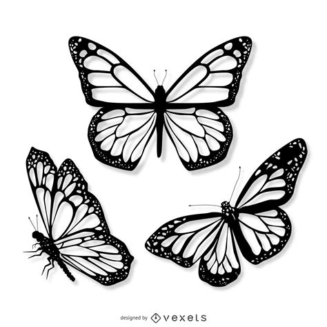 realistic butterfly illustration set vector