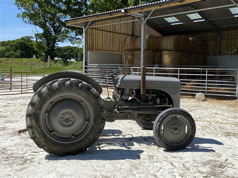 ferguson  petrol tractor  newport sold wightbay