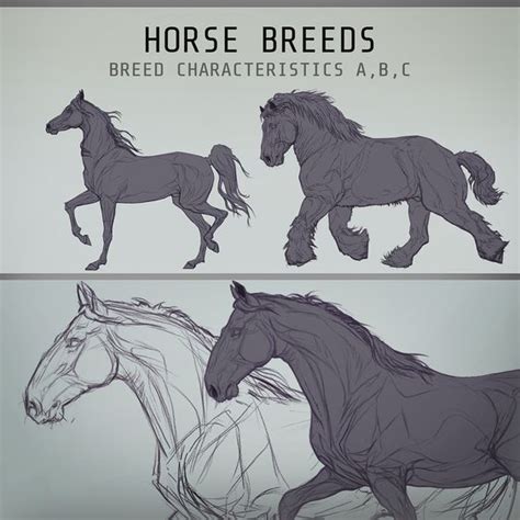 horse running drawing horse art drawing horse sketch pony drawing horse drawings art
