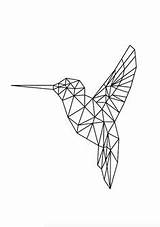 Hummingbird Geometrische Bird Kolibri Oiseau Tekening Zeichnen Kija sketch template