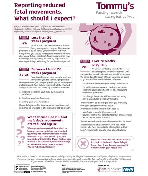 fetal movement  weeks pregnant leaflet outline  worries moving