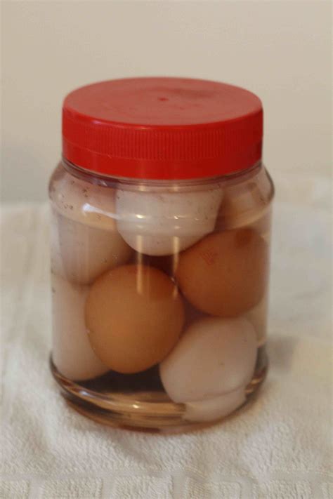 homemade salted eggs domesticadventurer