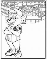 Cubs Mascot Coloring sketch template