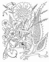 Coloring Pages Mosaic Mystery Flower Printable Adults Cool Grid Animal Getcolorings Getdrawings Color Colorings sketch template
