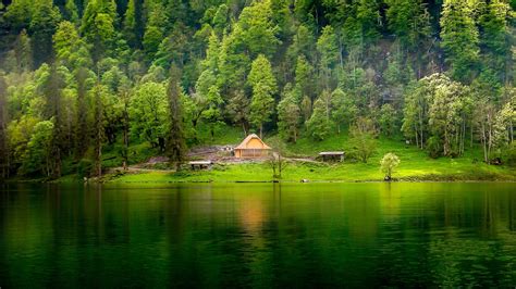 nature landscape green lake forest grass mist hill cabin trees water wallpapers hd