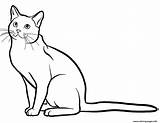 Cat Blue Coloring Russian Pages Printable sketch template