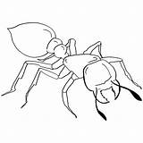 Ant Coloringbay Fo Ants Queen sketch template