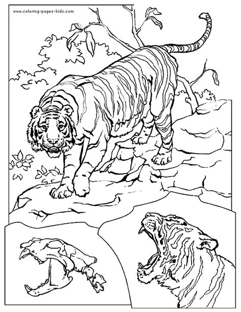 tigers coloring page