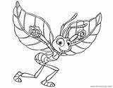 Flik Pages Disneyclips Coloring Life Gif Bug Flying sketch template