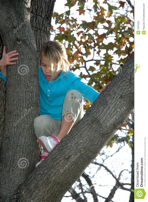 kids  trees stock image image  care fresh children