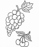 Coloring Vine Grapes Thanksgiving Pages Dinner Grape Sheets Clipart Colouring Feast Ahab King Cherries Drawing Clipartbest Food Craft Comments Vegetables sketch template