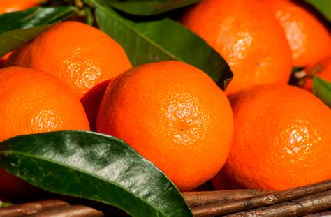 razones por las  la mandarina  puede faltar en tu despensa