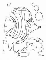 Coloring Water Pages Fish Kids Animals H2o Just Add Colouring Color Underwater Printable Monet Flutter Drawing Plants Sheets Claude Clipart sketch template