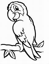 Parrot Coloring Pages Printable Macaw Parrots Print Cartoon Colouring Bird Kids Tropical Pet Color Cliparts Drawing Flying Coloringbay Scarlet Clipart sketch template