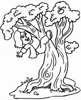 Climbing Tree Coloring Pages Girl Trees Cartoon Clipart Printable Climb Climber Kids Color Holiday Family Jobs Cliparts People Summer Colouring sketch template