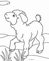 Sheep Coloring Pages Printable Print Kids Cool2bkids sketch template