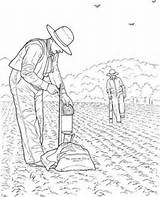 Agricultura Farmer Contadini Agricultor Homem Atividades Uma Trator Stampare sketch template