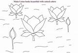 Lotus Coloring Pond Kids Pages Printable Pdf Flower National India Open Print  Studyvillage sketch template