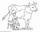Cow Milking Coloring Dairy Pages Drawing Boy Color Sketch Kids Calf Drawings Silhouette Animals Angus Printable Cattle Getdrawings Netart Pic sketch template