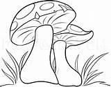 Mushrooms Mushroom Dragoart Pencil Shrooms Getdrawings sketch template